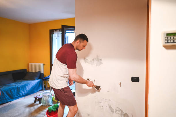 Best Water Damage Restoration  in Catasauqua, PA